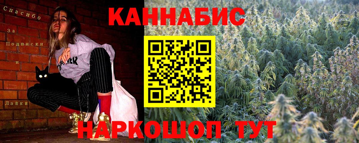 Канабис OG Kush Обнинск